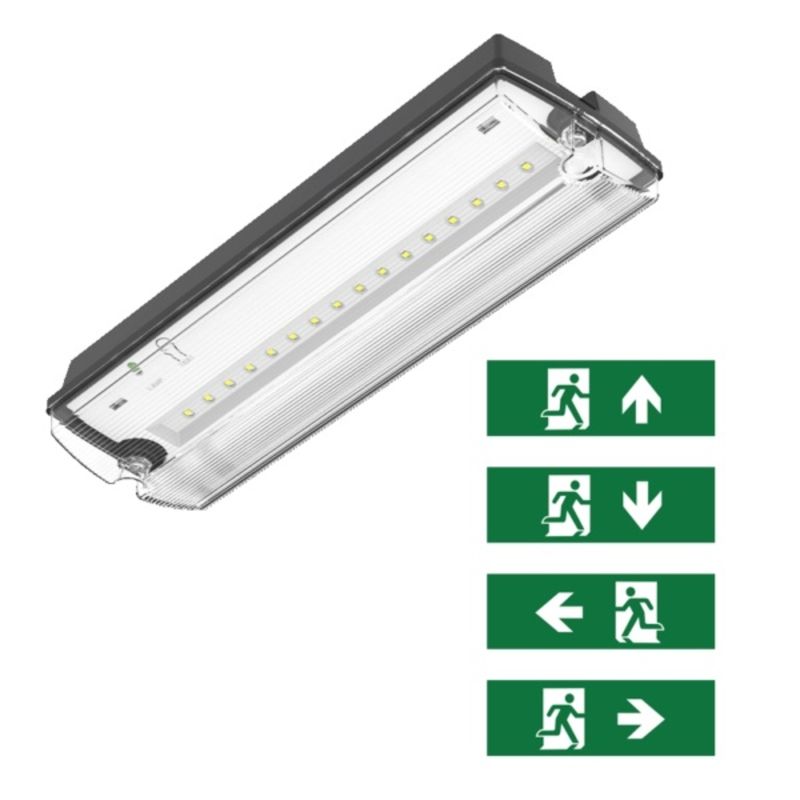 Musta hätävalaistus piktogrammeineen, Pedram, 3W, 6500K LED, IP66 Musta hätävalaistus piktogrammeineen, Pedram, 3W, 6500K LED, IP66