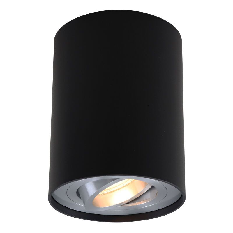 Moderni pintavalaisin musta, Snertinge