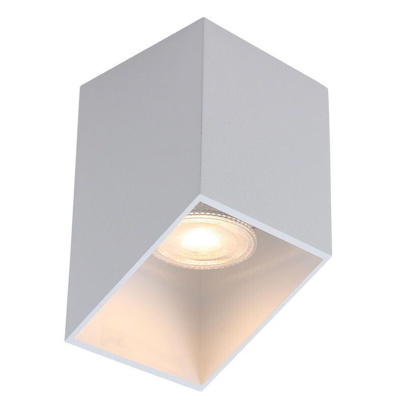 Moderni pintavalaisin valkoinen, Neva