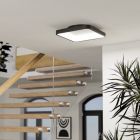 Moderni teräs äly kattovalaisin musta, Shauni, 20W, RGBW LED, kaukosäätimellä