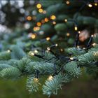 1,8 m LED-jouluvalaistus paristoilla, 24 lamppua, sisä- ja ulkokäyttöön