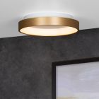 Kulta muovi kattolamppu, Vidal, 20W, 2700K LED