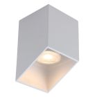 Moderni pintavalaisin valkoinen, Neva