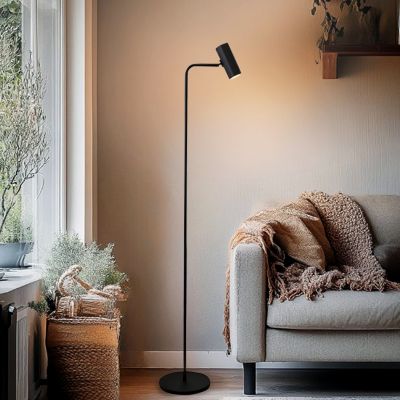 Moderni lattiavalaisin musta, Carlos, katkaisimella