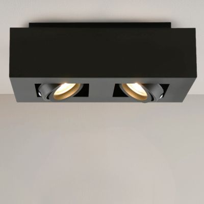 Moderni pintavalaisin musta, Akira