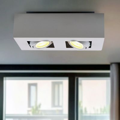 Moderni pintavalaisin valkoinen, Akira