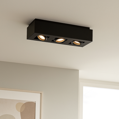 Moderni pintavalaisin musta, Akira