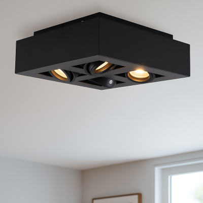 Moderni pintavalaisin musta, Akira