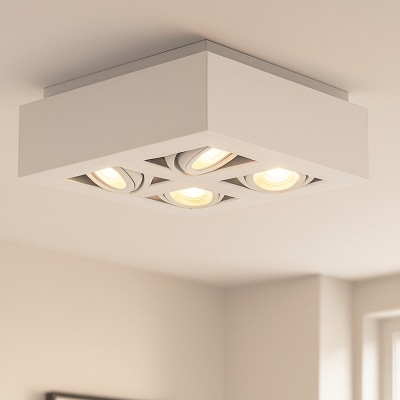 Moderni pintavalaisin valkoinen, Akira