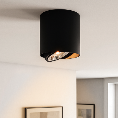 Moderni pintavalaisin musta, Mario