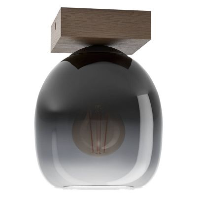 Moderni puu kattovalaisin ruskea, Frida