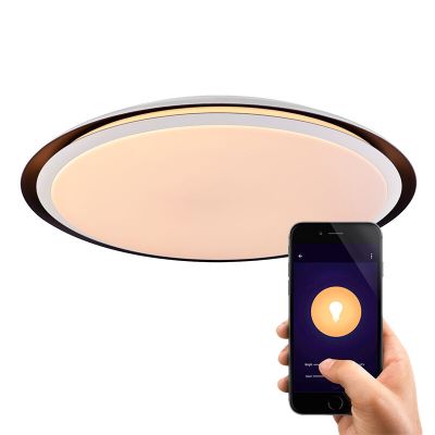 Moderni metalli äly kattovalaisin valkoinen, Invo, 40W, RGBW LED