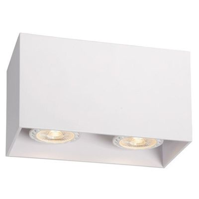 Valkoinen metalli pintavalaisin, Raina