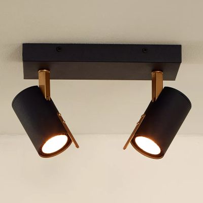 Musta metalli kattokohdevalaisin, Grony