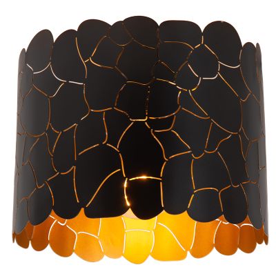 Musta metalli kattovalaisin, Almelo