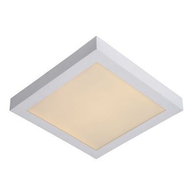 Valkoinen alumiini kattolamppu, Brice, 30W, 3000K LED, IP44