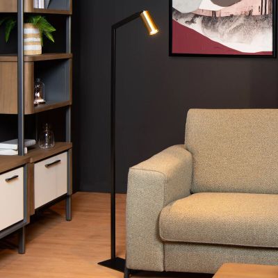 Musta metalli lattiavalaisin, Sybil, katkaisimella