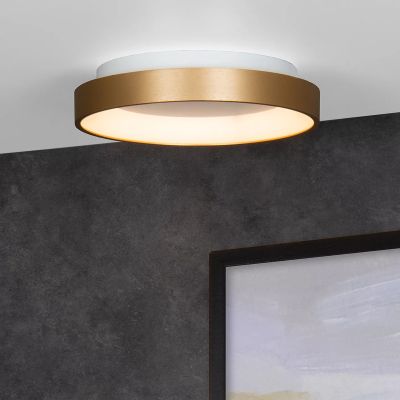 Kulta muovi kattolamppu, Vidal, 20W, 2700K LED
