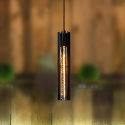 Musta metalli riippuvalaisin, Lionel