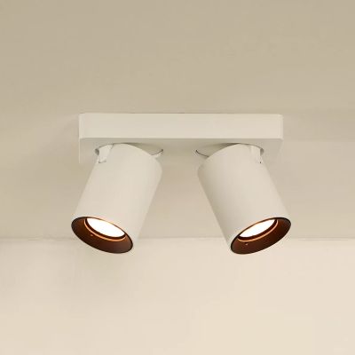 Valkoinen alumiini kattokohdevalaisin, Nigel