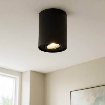 Moderni pintavalaisin musta, Onno