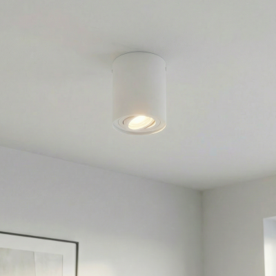 Moderni pintavalaisin valkoinen, Onno