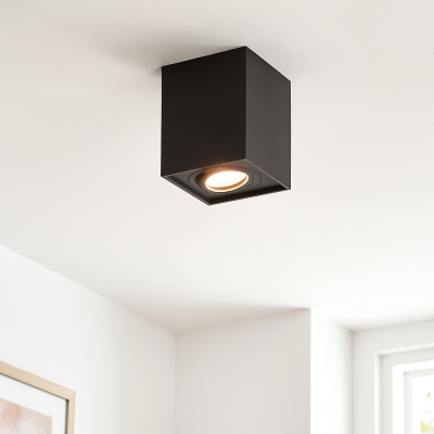 Moderni pintavalaisin musta, Dane