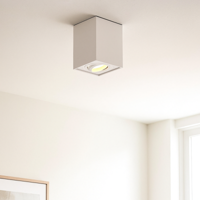 Moderni pintavalaisin valkoinen, Dane