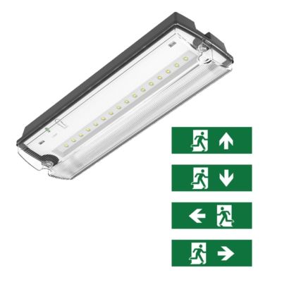 Musta hätävalaistus piktogrammeineen, Pedram, 3W, 6500K LED, IP66