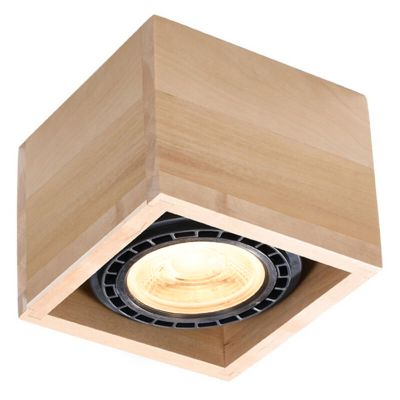 Puu pintavalaisin ruskea, Alfons