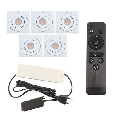 Alumiini veranda pintavalaisin valkoinen, Rona, 15W, 2700K LED, IP44, kaukosäätimellä