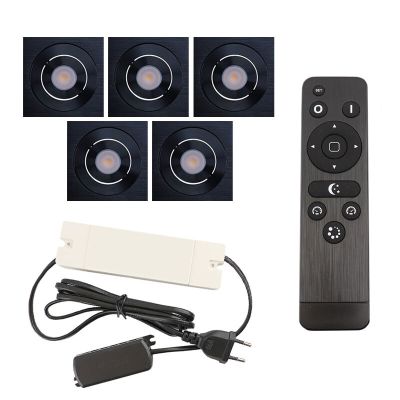 Alumiini veranda pintavalaisin musta, Rona, 15W, 2700K LED, IP44, kaukosäätimellä