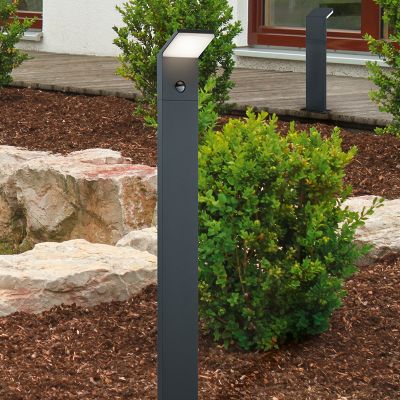 Antrasiitti alumiini liiketunnistimella varustettu ulkokattovalaisin, Solana, 9W, 3000K LED, IP54