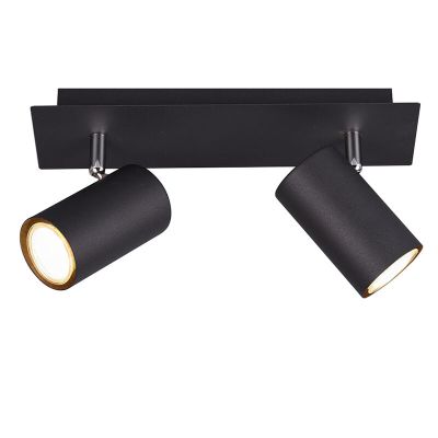 Musta metalli kattokohdevalaisin, Kaso