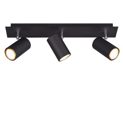 Musta metalli kattokohdevalaisin, Kaso