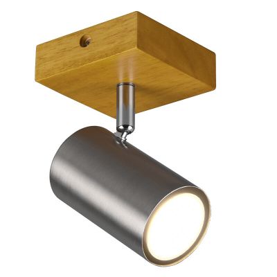 Nikkeli metalli kattokohdevalaisin, Kaso