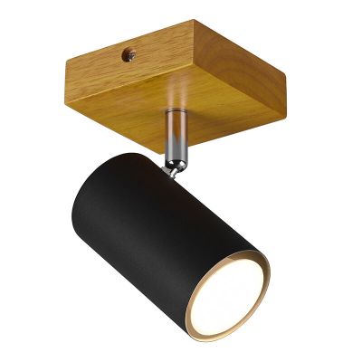 Musta metalli kattokohdevalaisin, Kaso