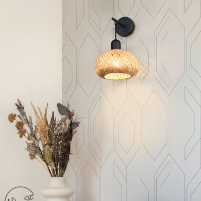 Bambu seinävalaisin ruskea, Mertcan