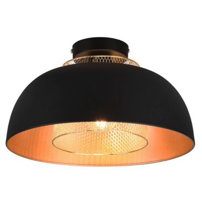 Musta metalli kattovalaisin, Sylvano