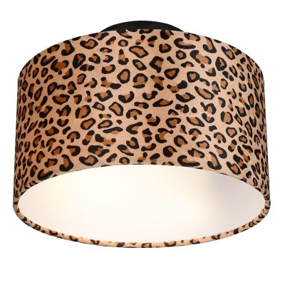 Ruskea kangas kattovalaisin, Viton