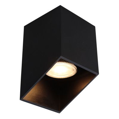 Moderni pintavalaisin musta, Neva